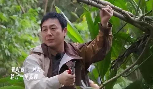 张颂文爆料娱乐圈视频大全,视频大全大揭秘  第1张